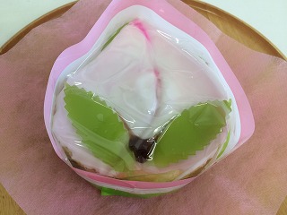 momo 009 momo 009